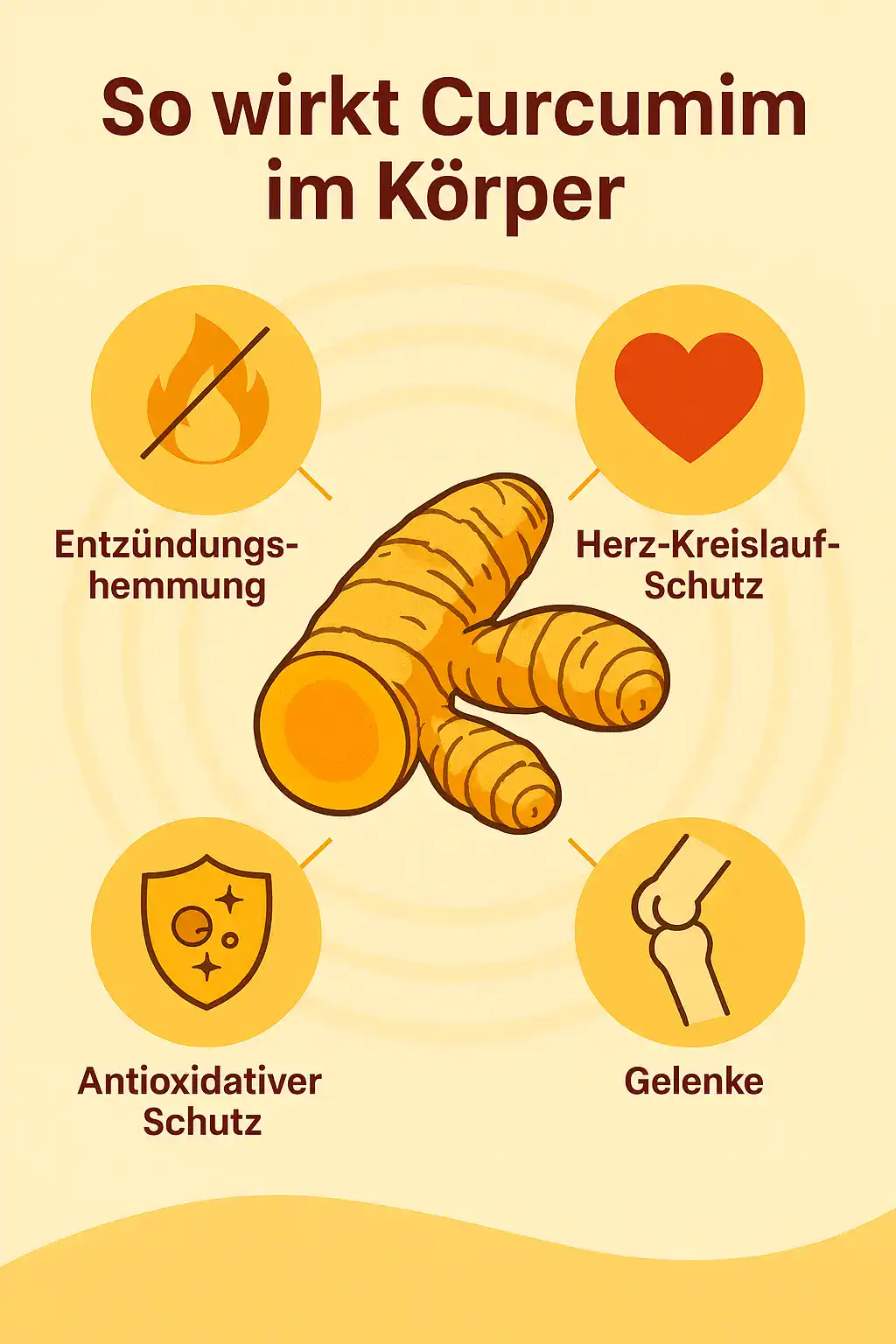 Infografik: So wirkt Curcumin im Körper – Entzündungshemmung, Herz-Kreislauf-Schutz, antioxidativer Schutz und Unterstützung der Gelenke.