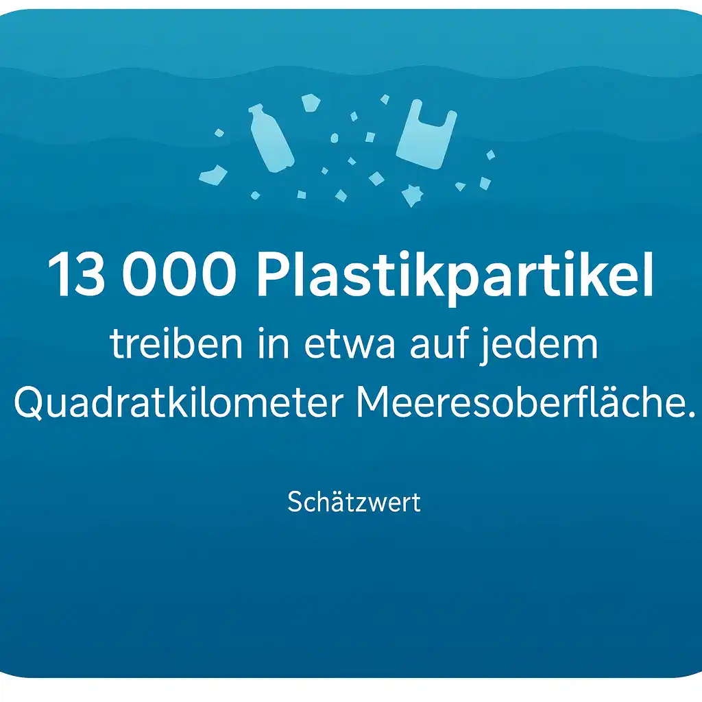 Infografik: 13000 Plastikpartikel treiben in etwa auf jedem Quadratkilometer Meeresoberfläche – große Zahl, Blautöne, stilisierte Wellenstruktur.